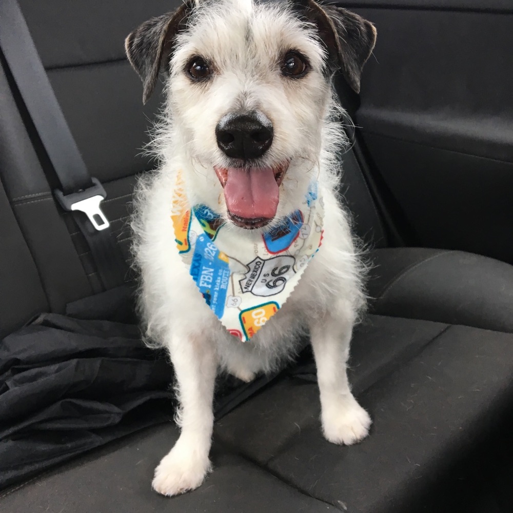 Meet your Posher, Jordan